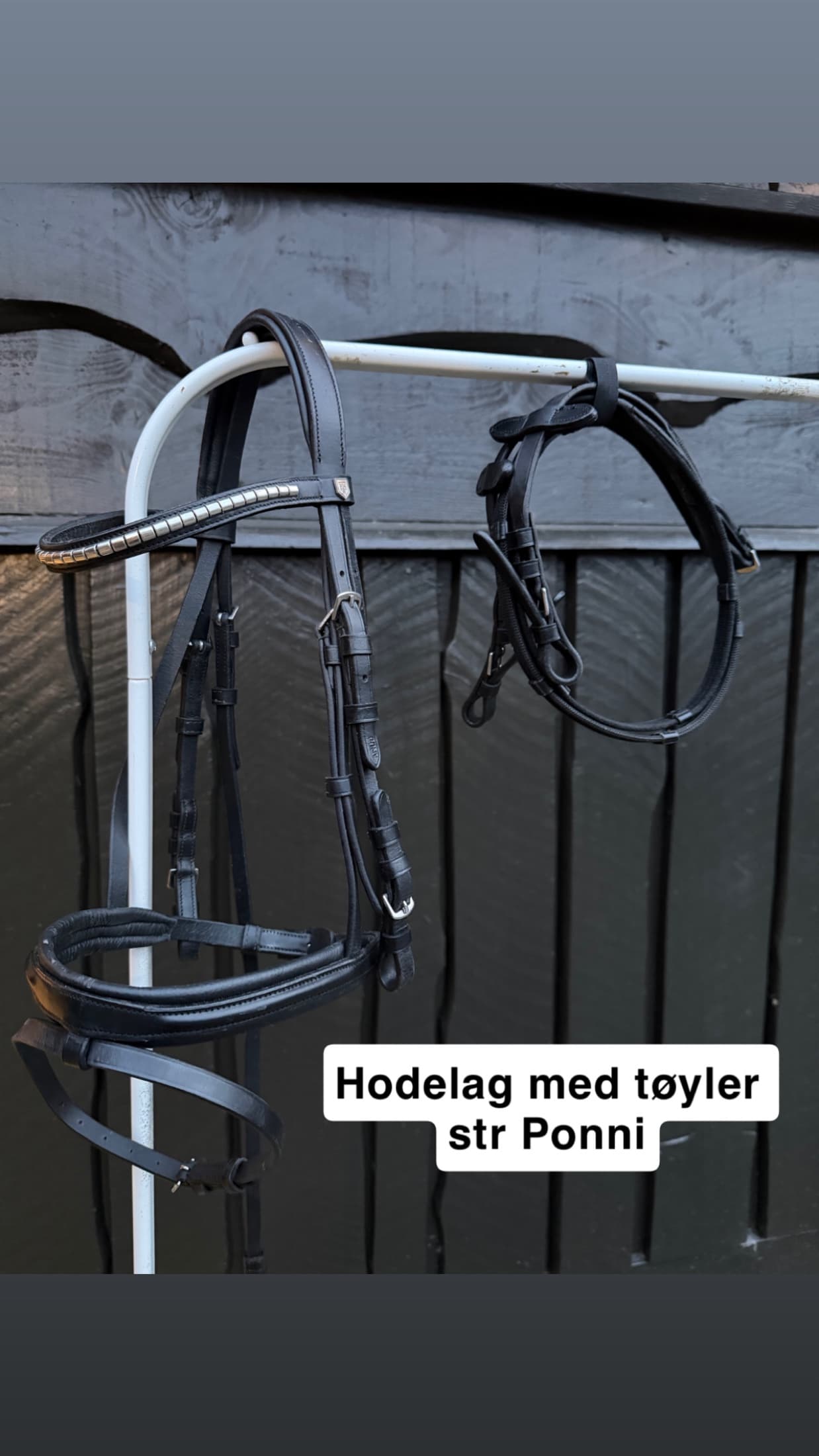 Fairfield Hodelag