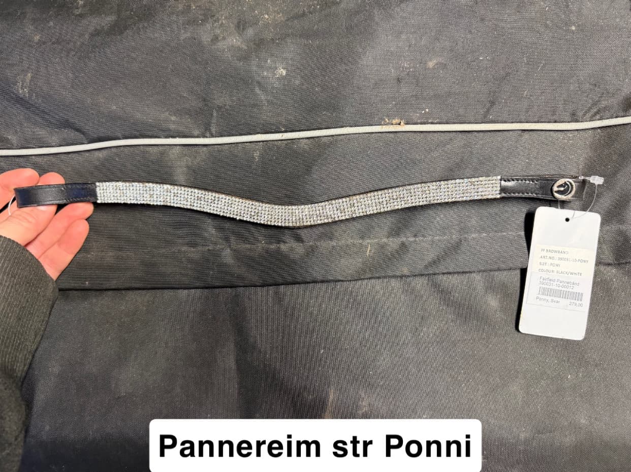 Pannereim