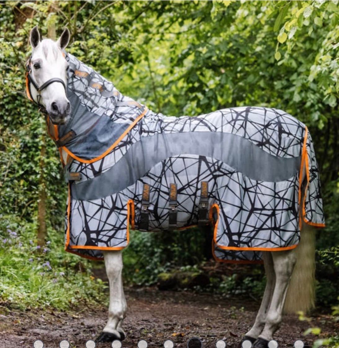 Horseware amigo fluedekken